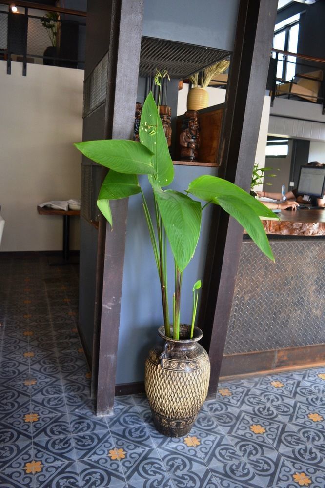 Monsoon Bassac Hotel Phnompenh Exteriér fotografie